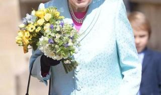 中国女王信息网